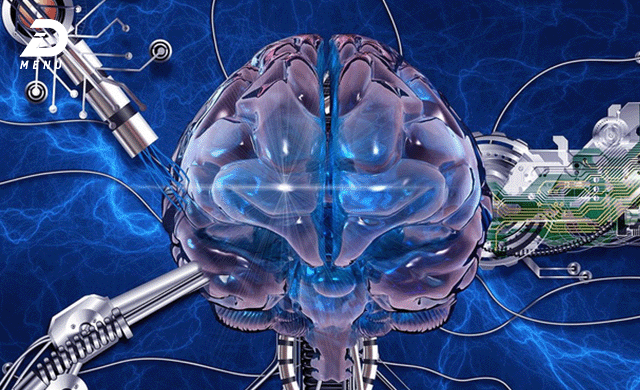دانشمندان می‌خواهند از سلول‌های مغز انسان کامپیوترهای زیستی بسازند