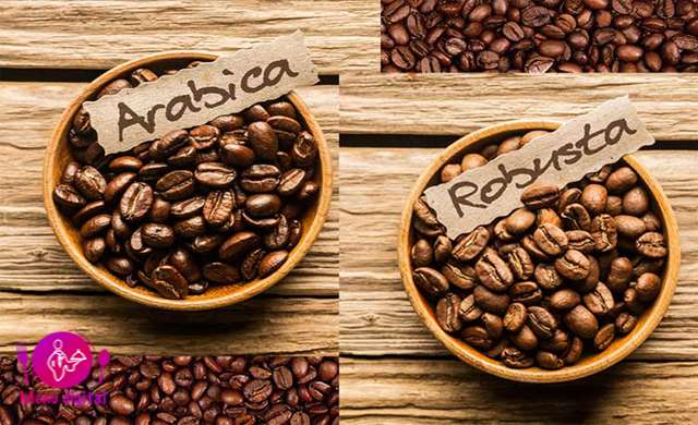 تفاوت قابل توجه بین دانه های قهوه عربیکا و روبوستا