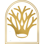 کافه رستوران رولکس